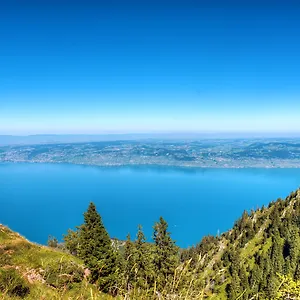 https://residhotel-les-terrasses-du-lac.hotels-rhonealpes.com